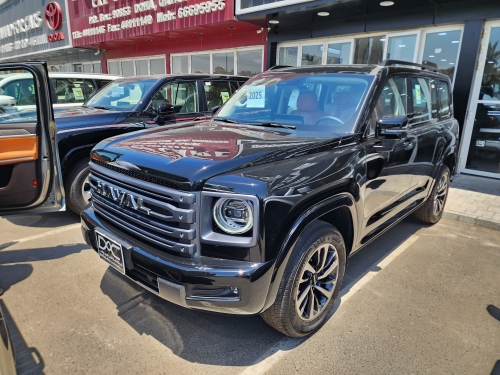 Haval  H 9  2025